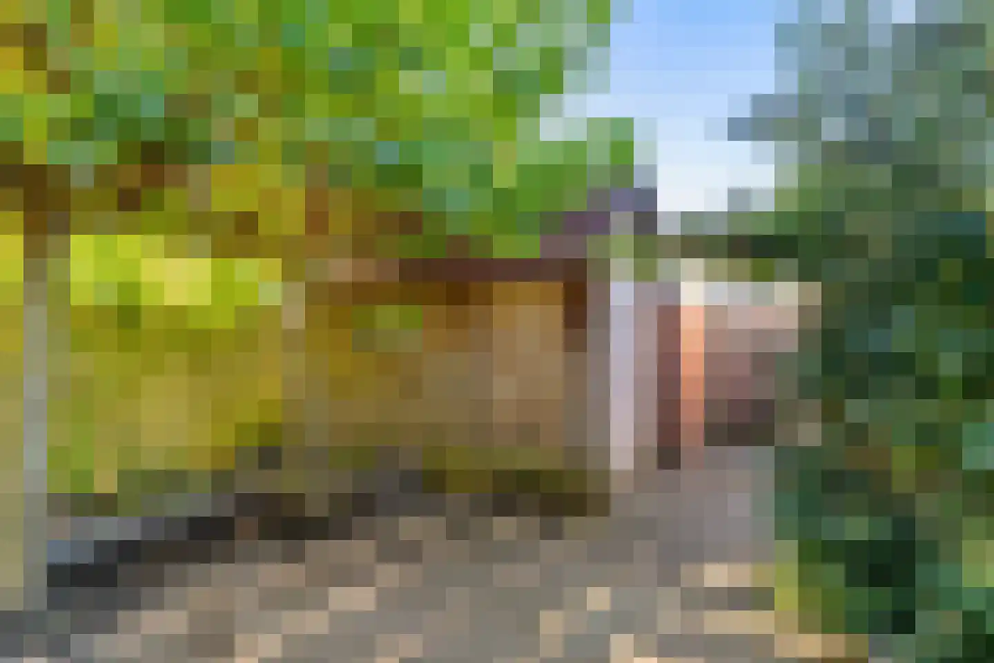Professor Enno Dirk Wiersmastraat 14 Groningen thumbnail 29