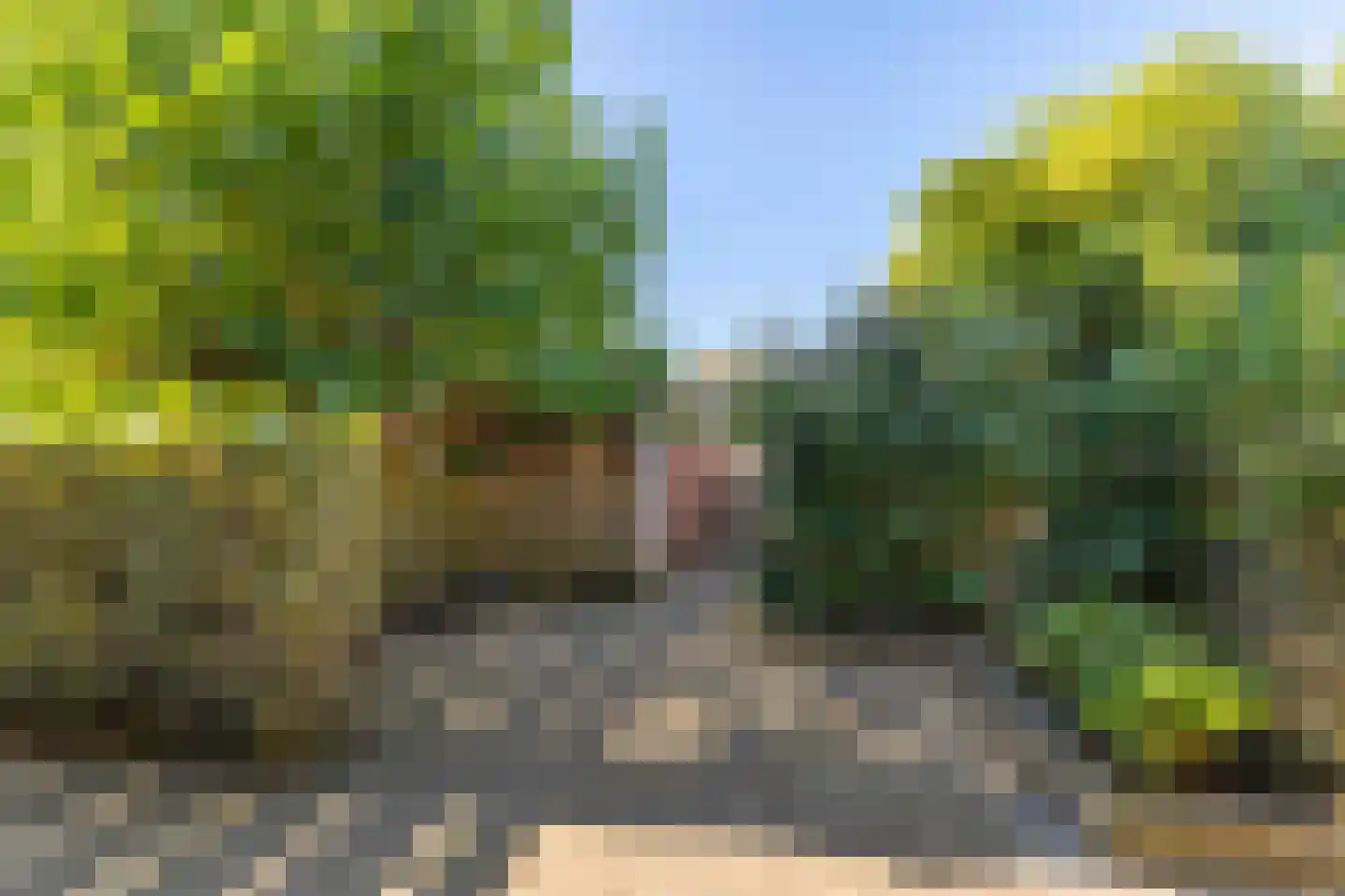 Professor Enno Dirk Wiersmastraat 14 Groningen thumbnail 6