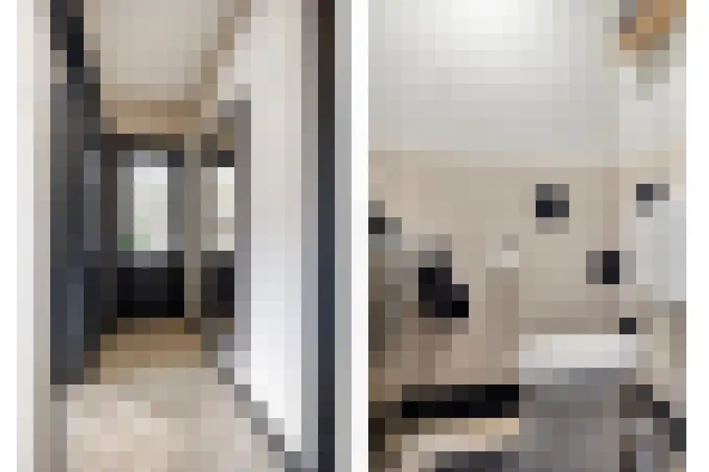 Professor Enno Dirk Wiersmastraat 4 Groningen thumbnail 13