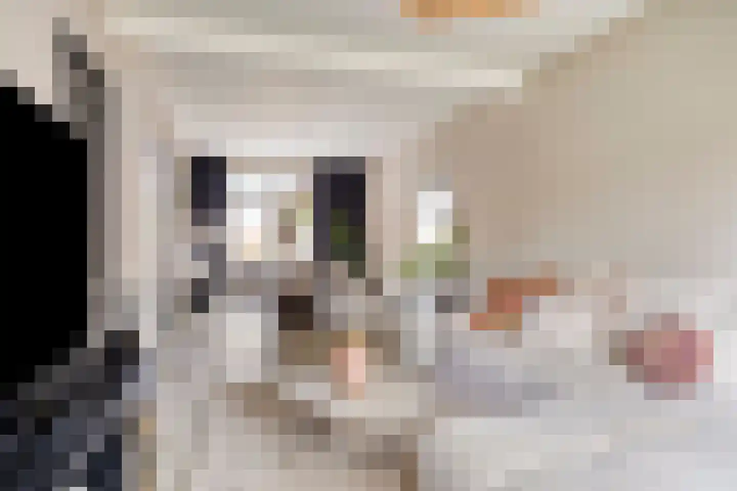 Professor Enno Dirk Wiersmastraat 4 Groningen thumbnail 16