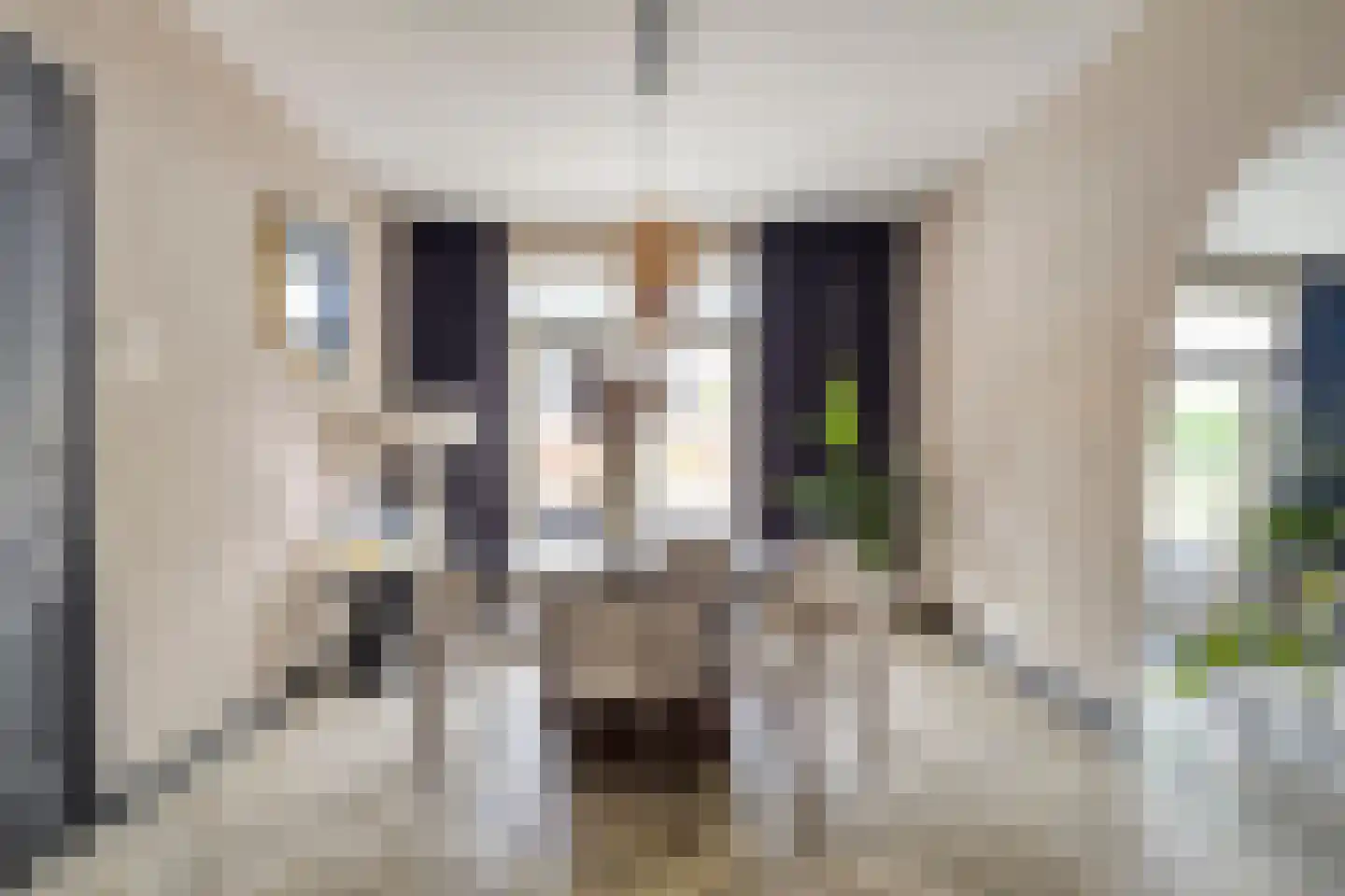 Professor Enno Dirk Wiersmastraat 4 Groningen thumbnail 18