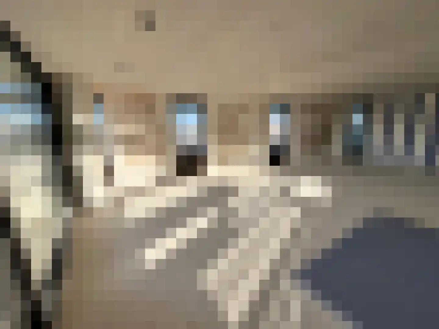Professor Gelissensingel 2 13 Venlo thumbnail 5