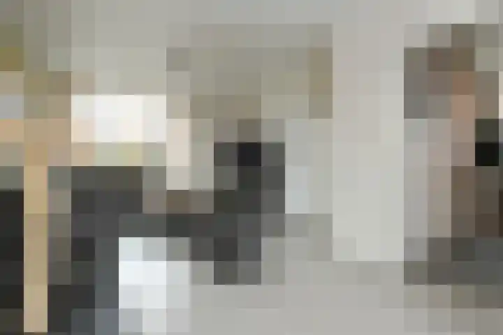 Professor Gelissenstraat 16 Haelen thumbnail 5