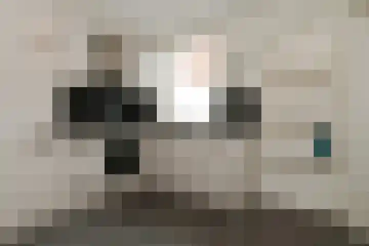 Professor Gelissenstraat 16 Haelen thumbnail 8