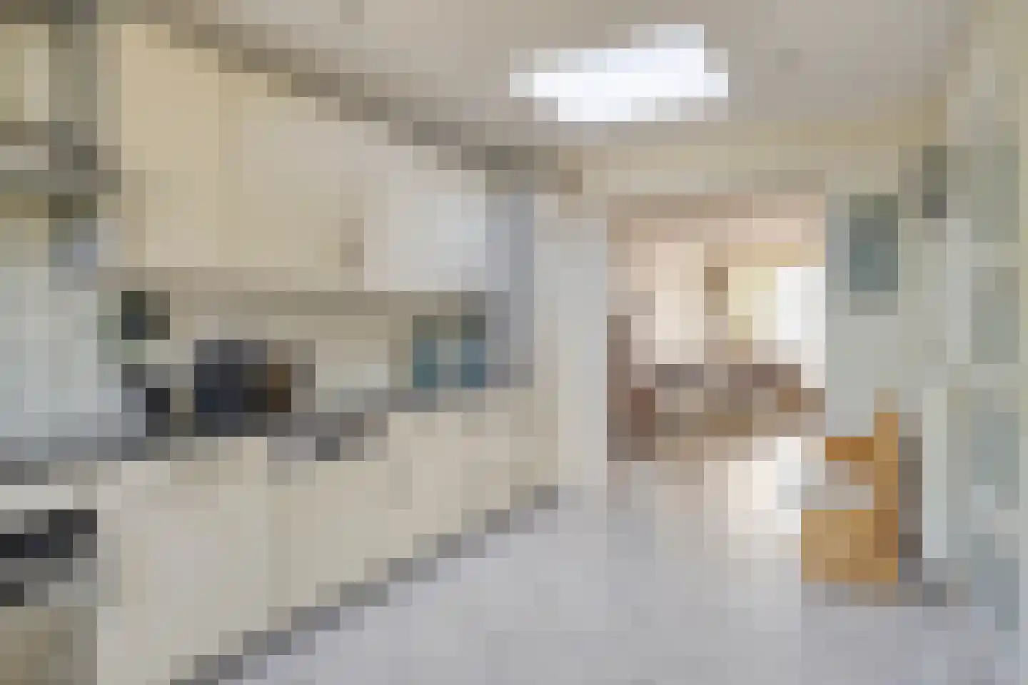 Professor Gelissenstraat 20 Haelen thumbnail 16