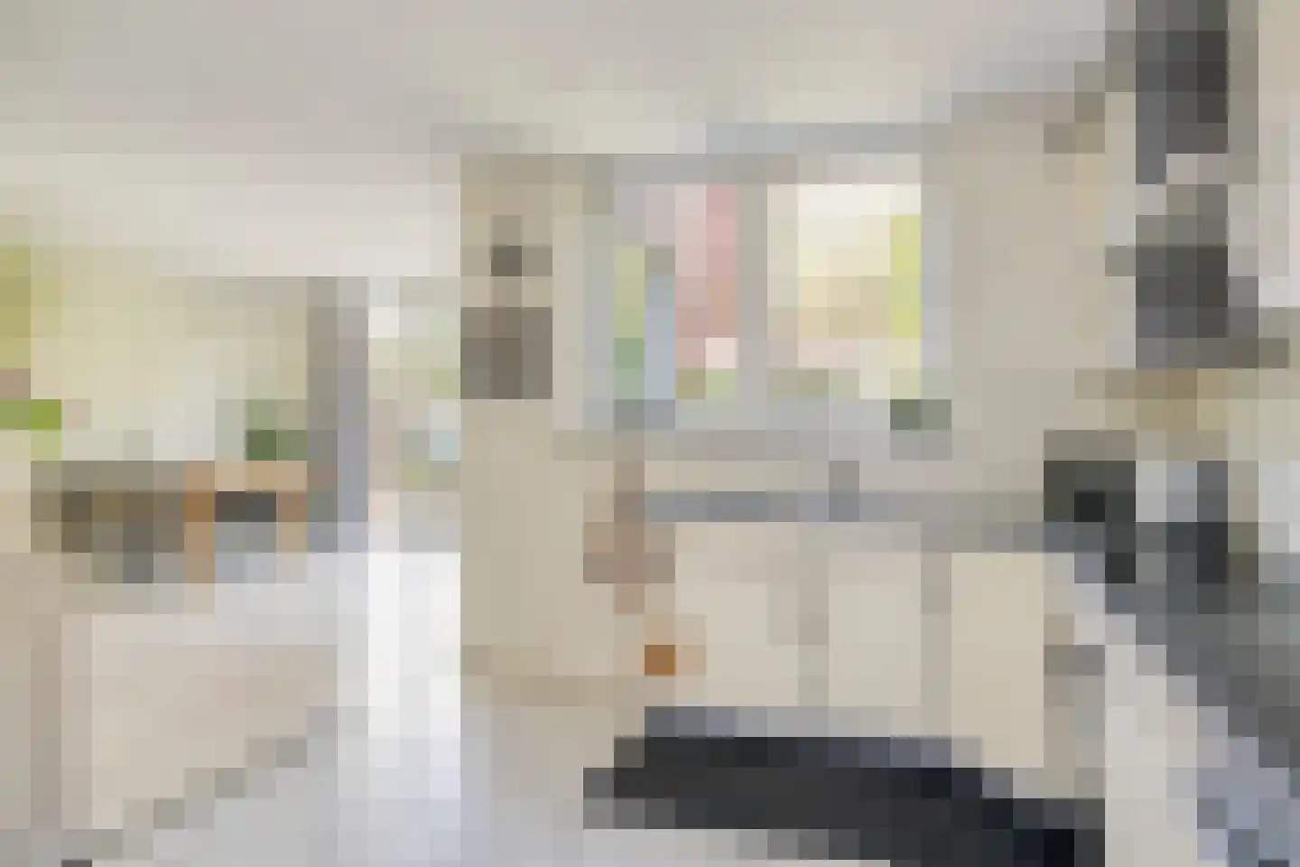 Professor Gelissenstraat 20 Haelen thumbnail 17