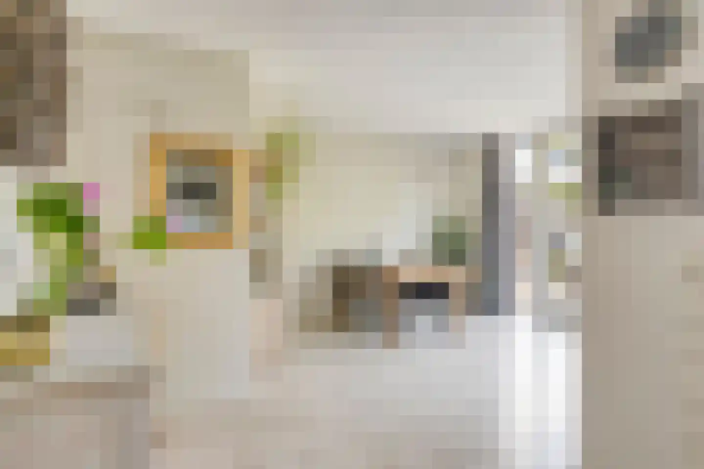 Professor Gelissenstraat 20 Haelen thumbnail 18