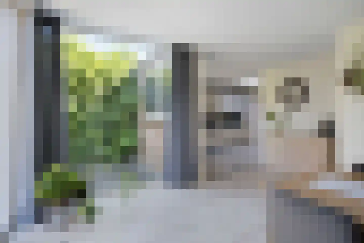 Professor Gelissenstraat 20 Haelen thumbnail 21