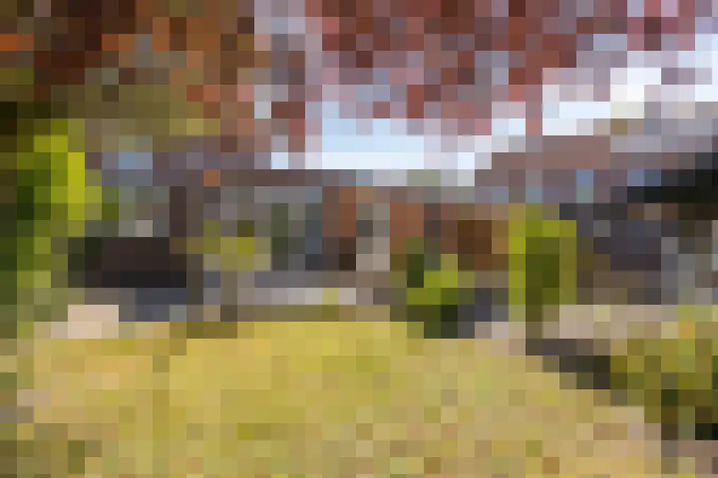 Professor Gelissenstraat 20 Haelen thumbnail 36