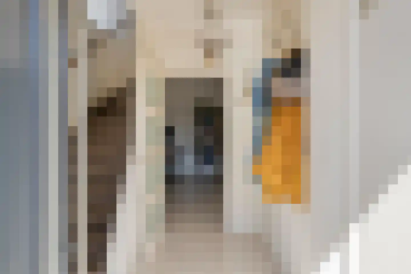 Professor Gelissenstraat 20 Haelen thumbnail 7