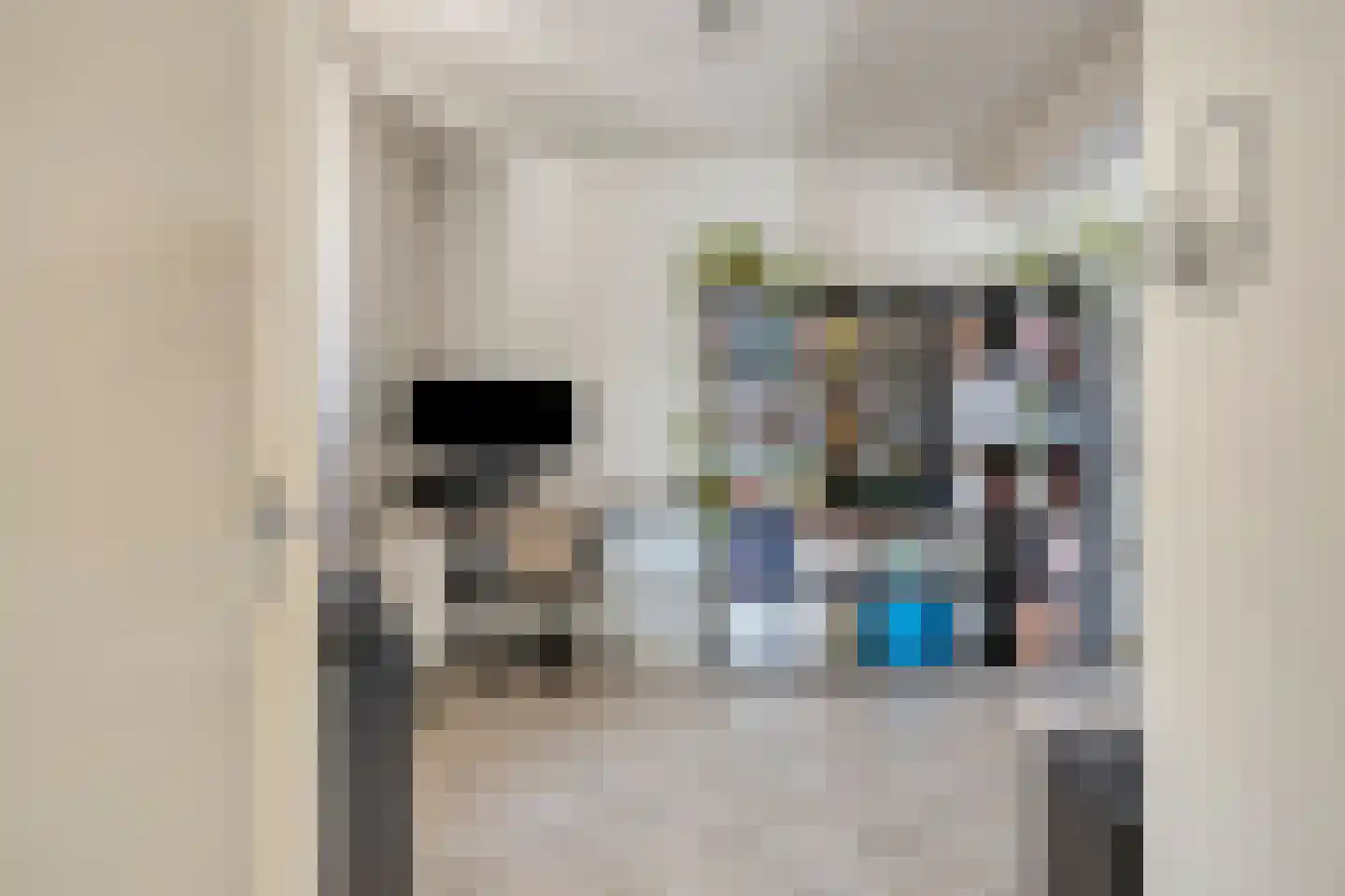 Professor Gelissenstraat 20 Haelen thumbnail 9