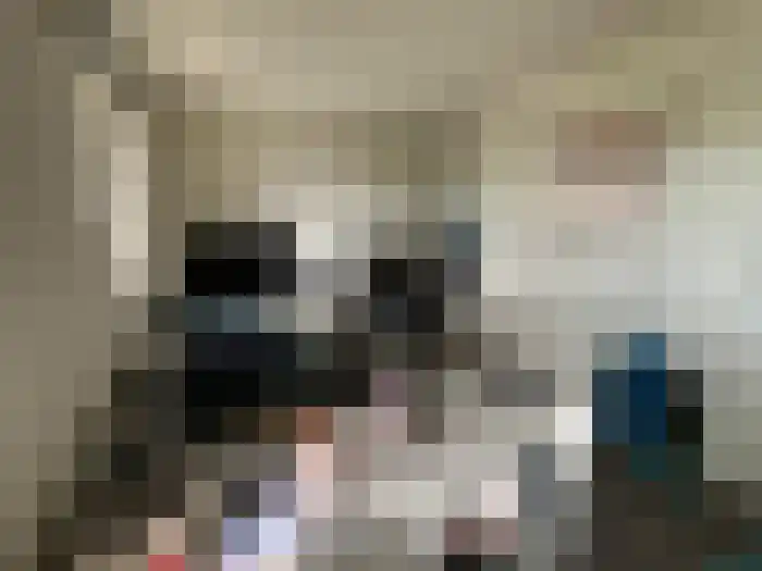 Professor Gimbrèrelaan 111 04 Tilburg thumbnail 9