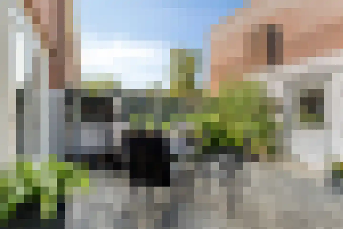 Professor Gimbrèrelaan 155 Tilburg thumbnail 27
