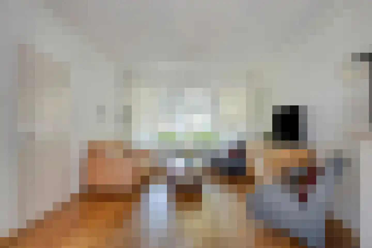 Professor Gimbrèrelaan 155 Tilburg thumbnail 8