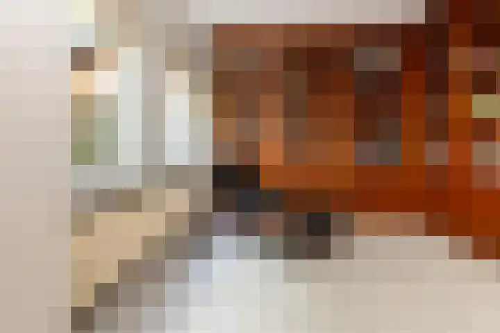 Professor Gimbrèrelaan 172 Tilburg thumbnail 13