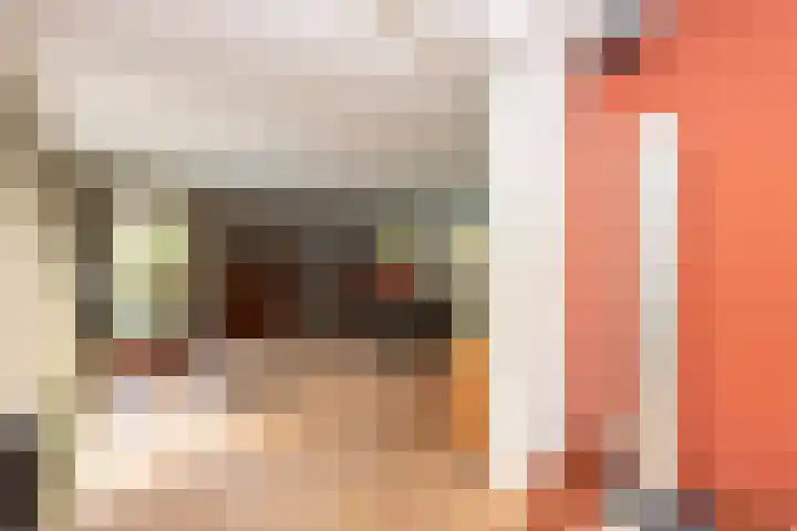 Professor Gimbrèrelaan 172 Tilburg thumbnail 16