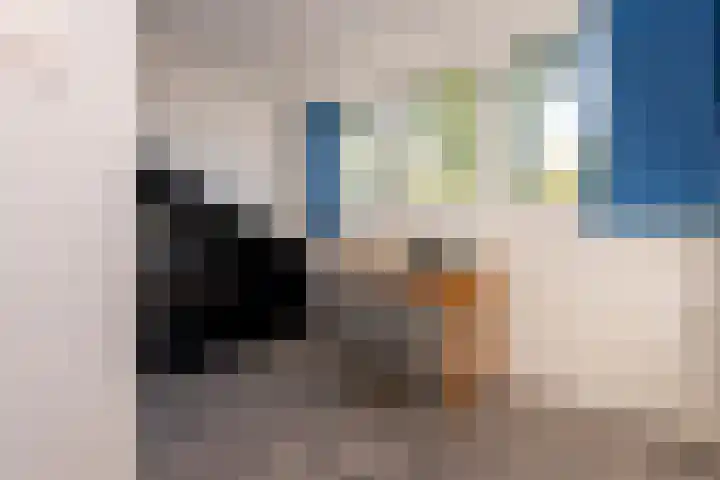 Professor Gimbrèrelaan 172 Tilburg thumbnail 39