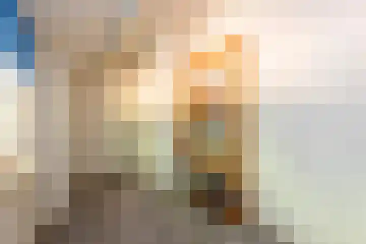 Professor Gimbrèrelaan 172 Tilburg thumbnail 47