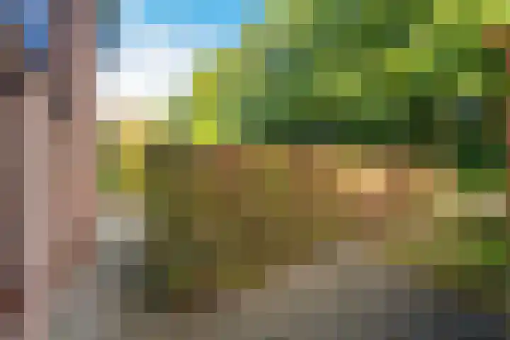 Professor Gimbrèrelaan 172 Tilburg thumbnail 66