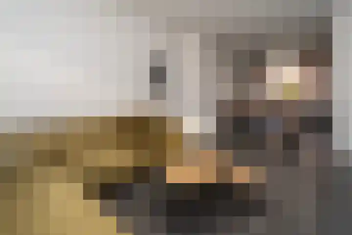 Professor Gimbrèrelaan 61 Tilburg thumbnail 15