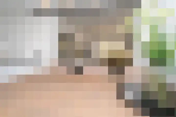 Professor Gimbrèrelaan 61 Tilburg thumbnail 18