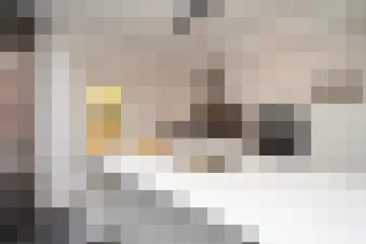Professor Gimbrèrelaan 61 Tilburg thumbnail 20