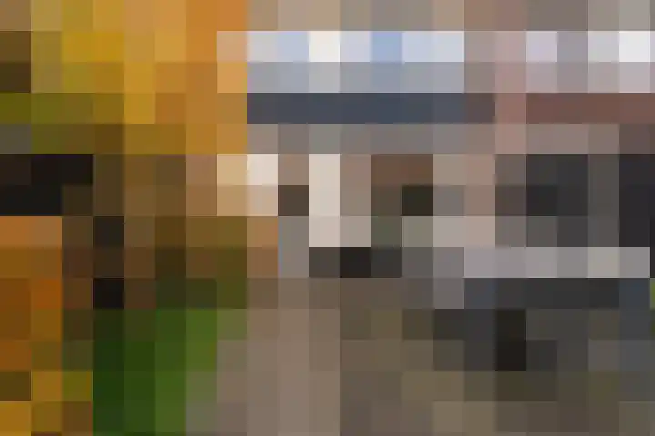 Professor Gimbrèrelaan 61 Tilburg thumbnail 26