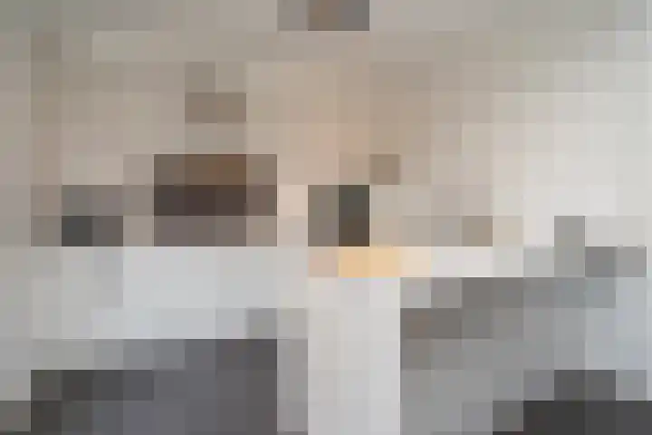 Professor Gimbrèrelaan 61 Tilburg foto 3