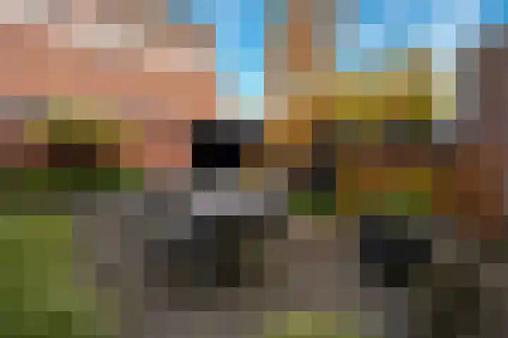 Professor Gimbrèrelaan 61 Tilburg thumbnail 5