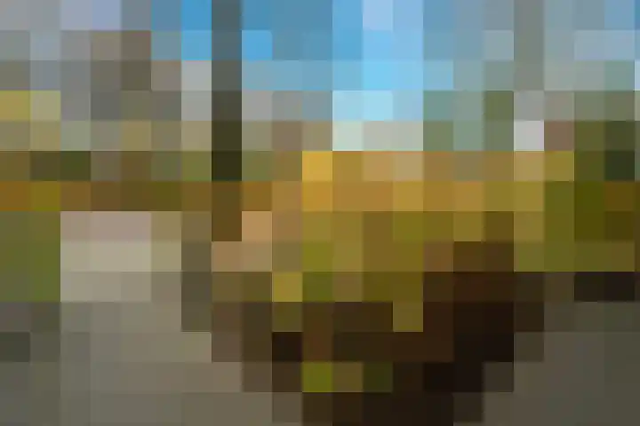 Professor Gimbrèrelaan 61 Tilburg thumbnail 8