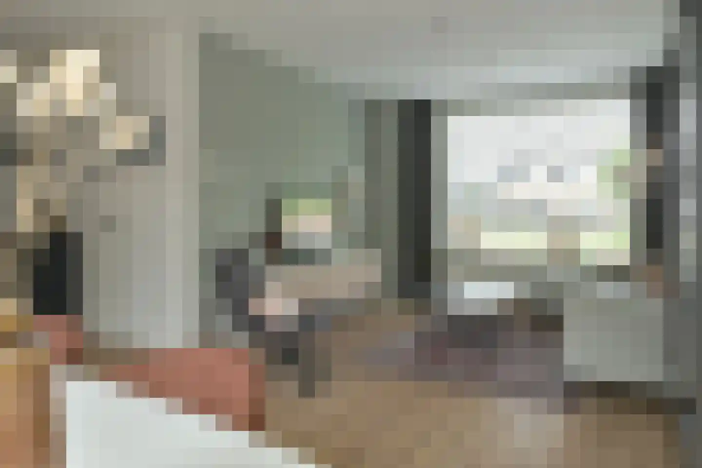 Professor Holwardastraat 26 Franeker thumbnail 10
