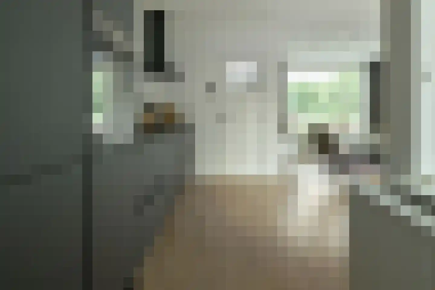 Professor Holwardastraat 26 Franeker thumbnail 19