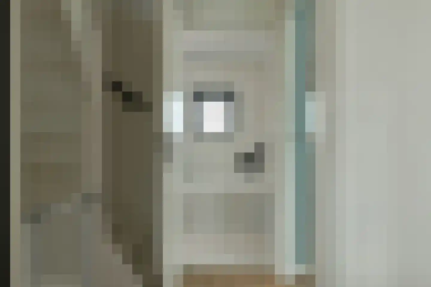 Professor Holwardastraat 26 Franeker thumbnail 32