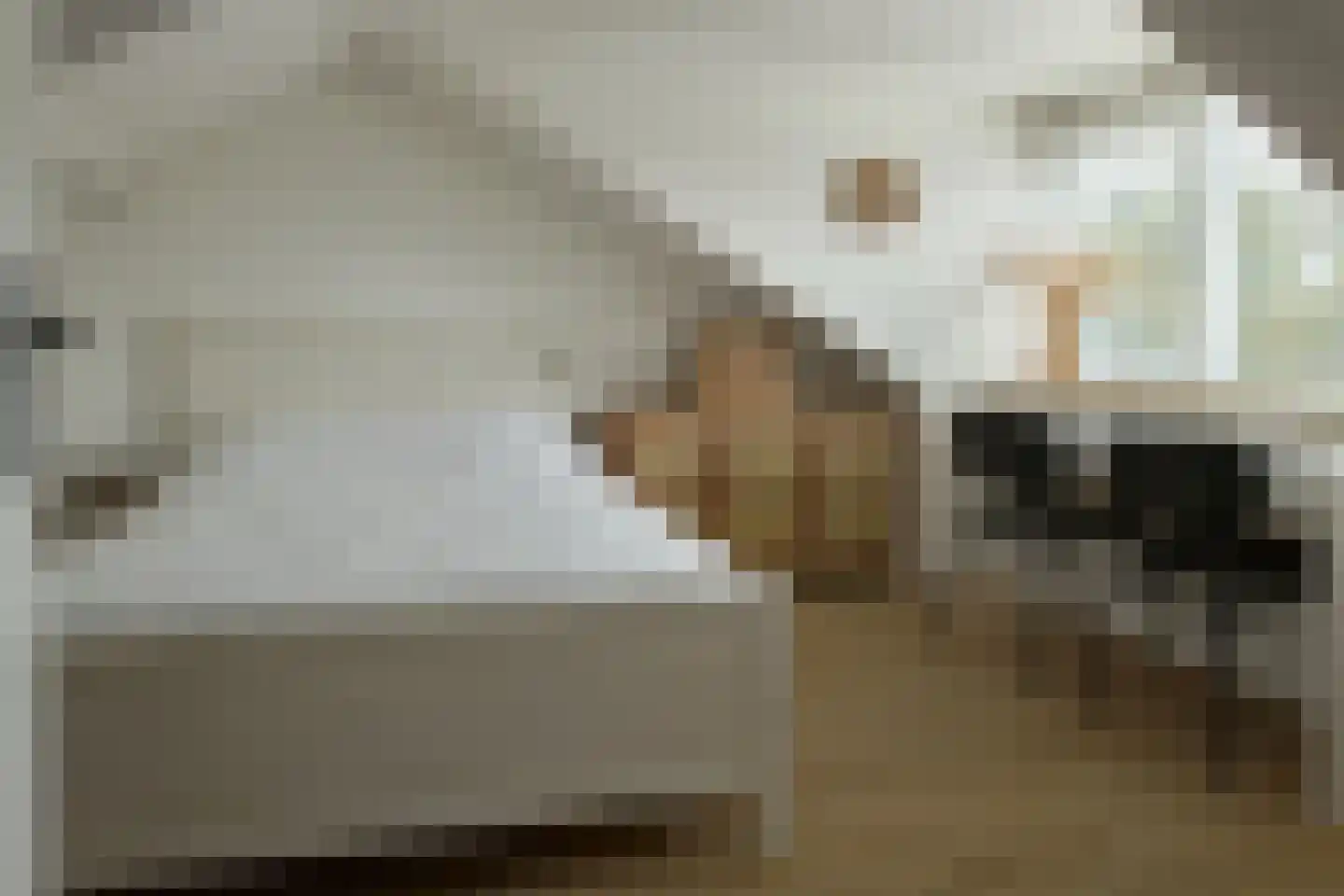Professor Holwardastraat 26 Franeker thumbnail 33