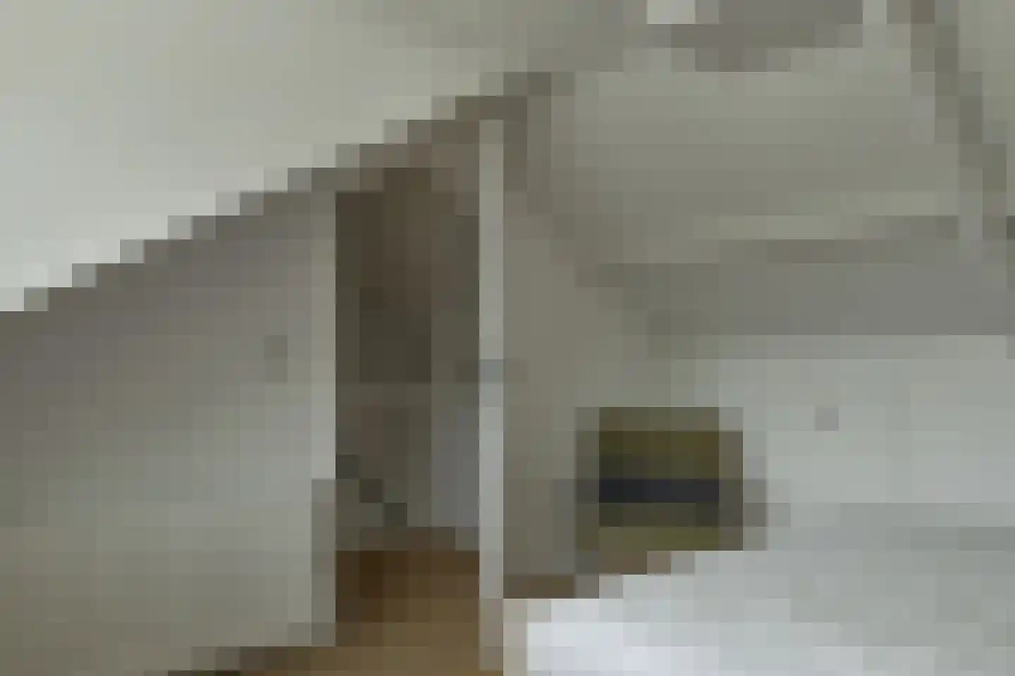 Professor Holwardastraat 26 Franeker thumbnail 35