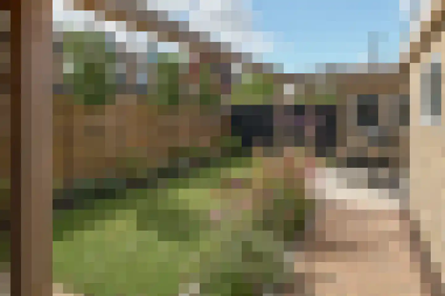 Professor Holwardastraat 26 Franeker thumbnail 37
