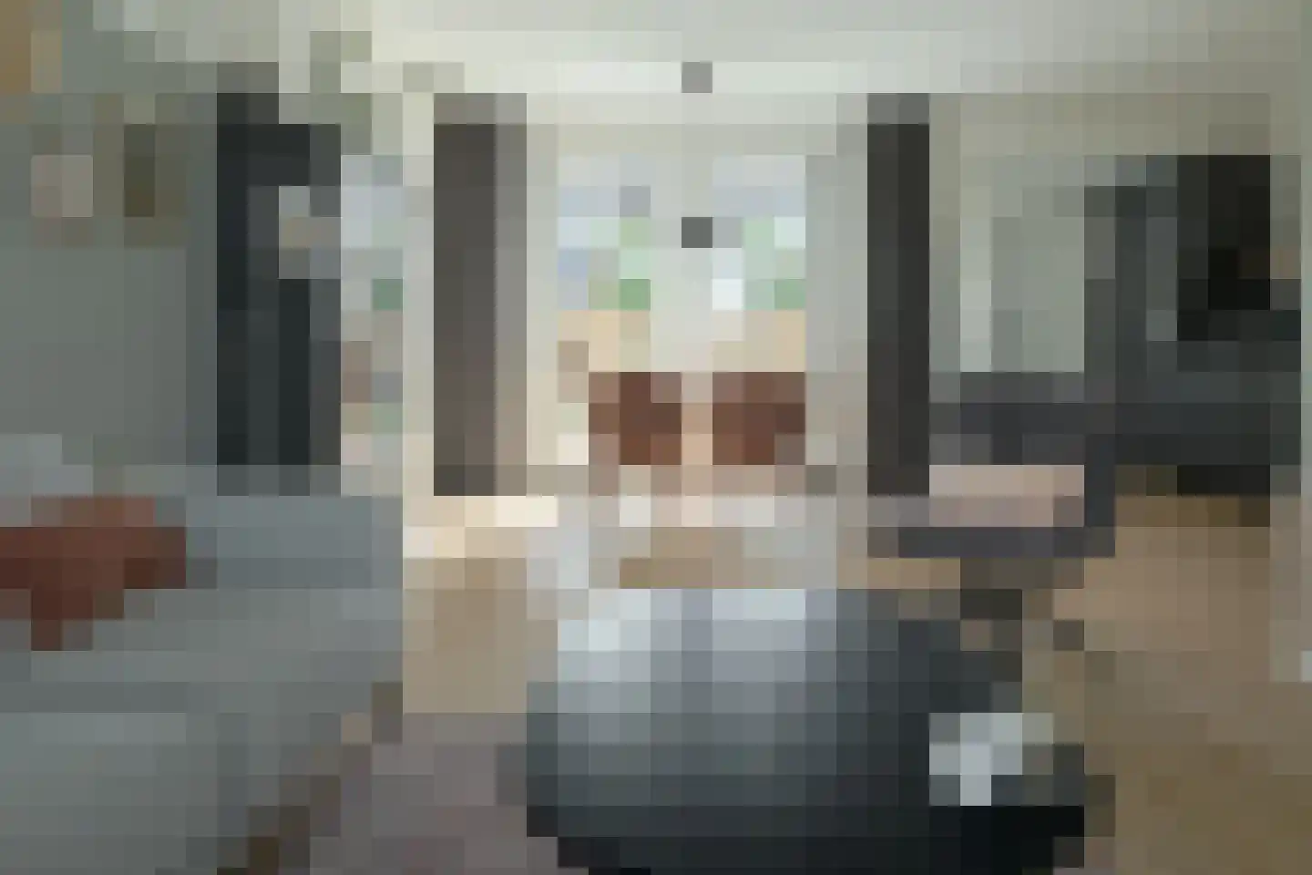 Professor Holwardastraat 26 Franeker thumbnail 8