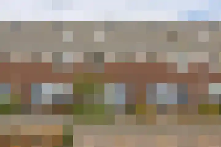 Professor Holwerdalaan 73 in Naaldwijk