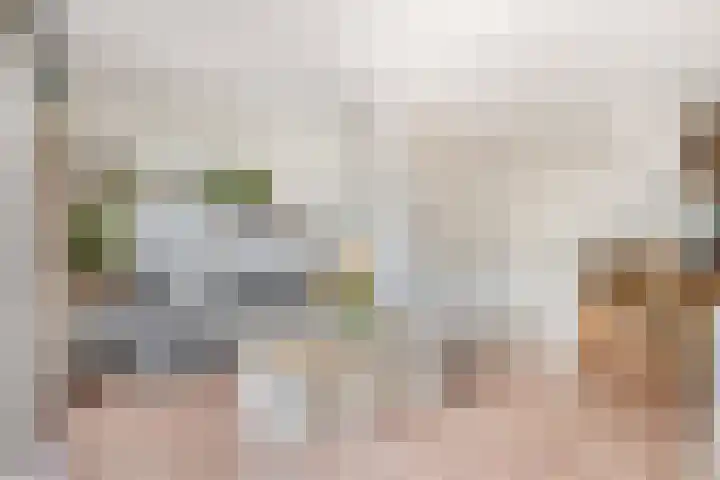 Professor Holwerdalaan 73 Naaldwijk thumbnail 11