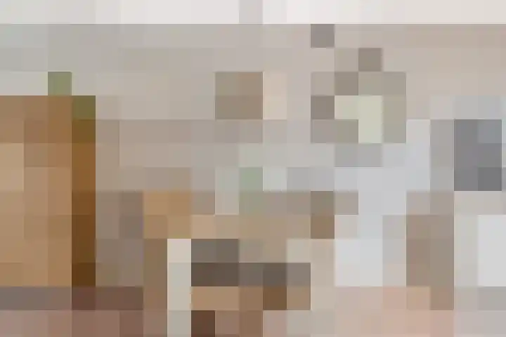 Professor Holwerdalaan 73 Naaldwijk thumbnail 13