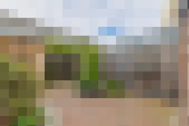Professor Holwerdalaan 73 Naaldwijk thumbnail 19