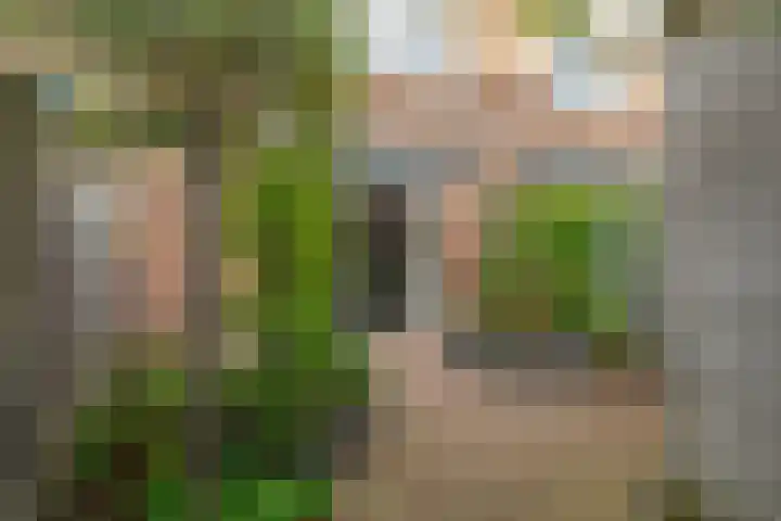 Professor Holwerdalaan 73 Naaldwijk thumbnail 20