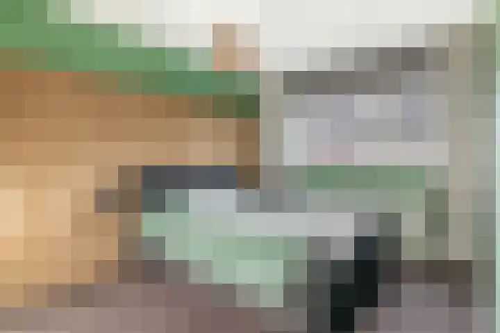 Professor Holwerdalaan 73 Naaldwijk thumbnail 24
