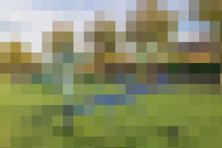 Professor Holwerdalaan 73 Naaldwijk thumbnail 35