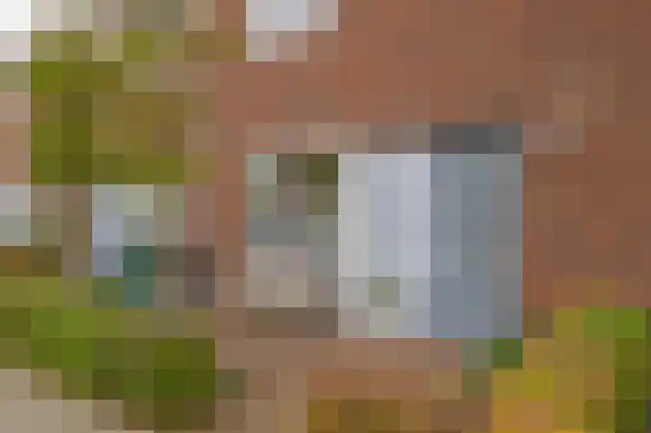Professor Holwerdalaan 73 Naaldwijk thumbnail 6
