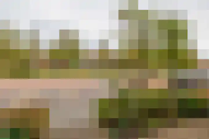 Professor Holwerdalaan 73 Naaldwijk thumbnail 8