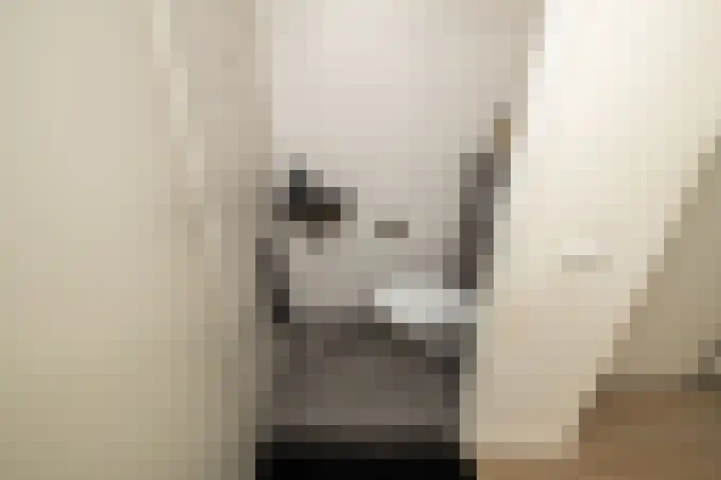 Professor Holwerdalaan 77 Naaldwijk thumbnail 16