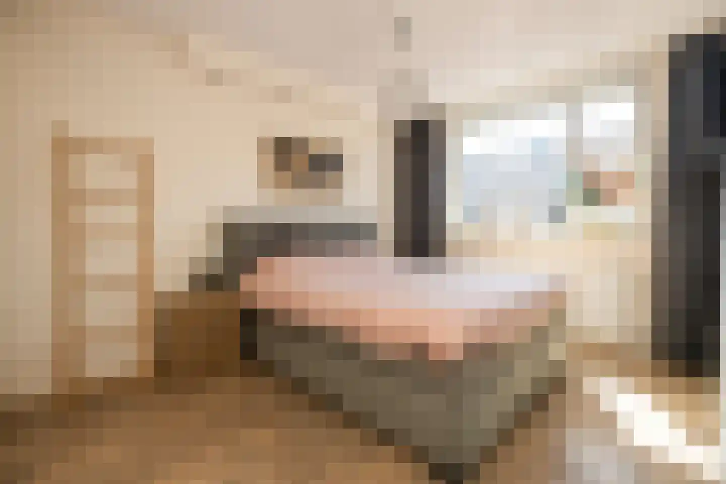 Professor Holwerdalaan 77 Naaldwijk thumbnail 21