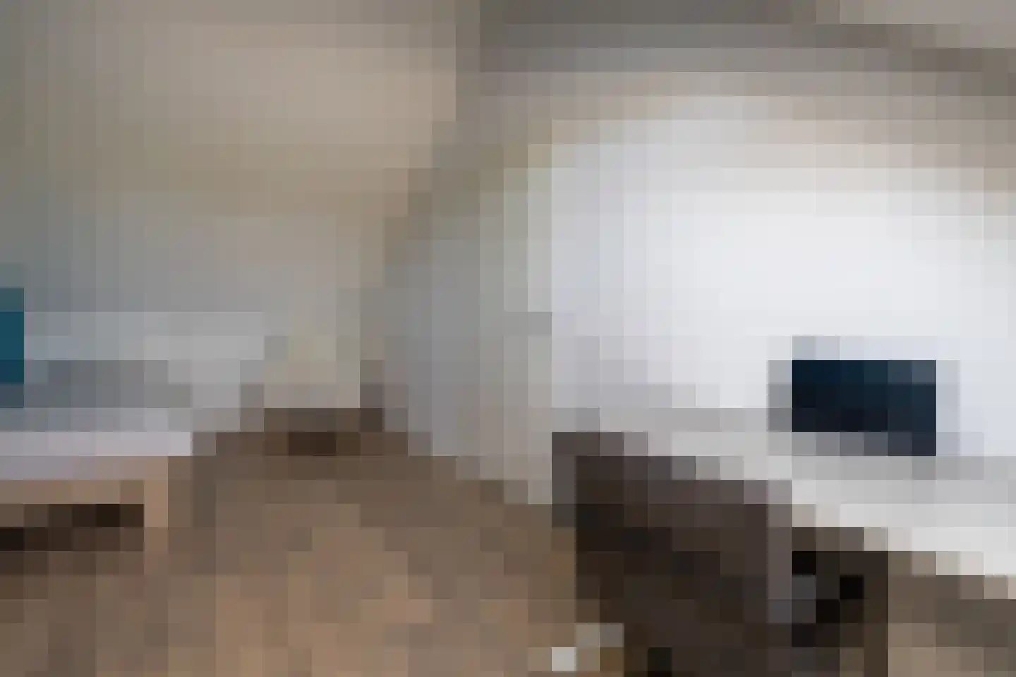 Professor Holwerdalaan 77 Naaldwijk thumbnail 31