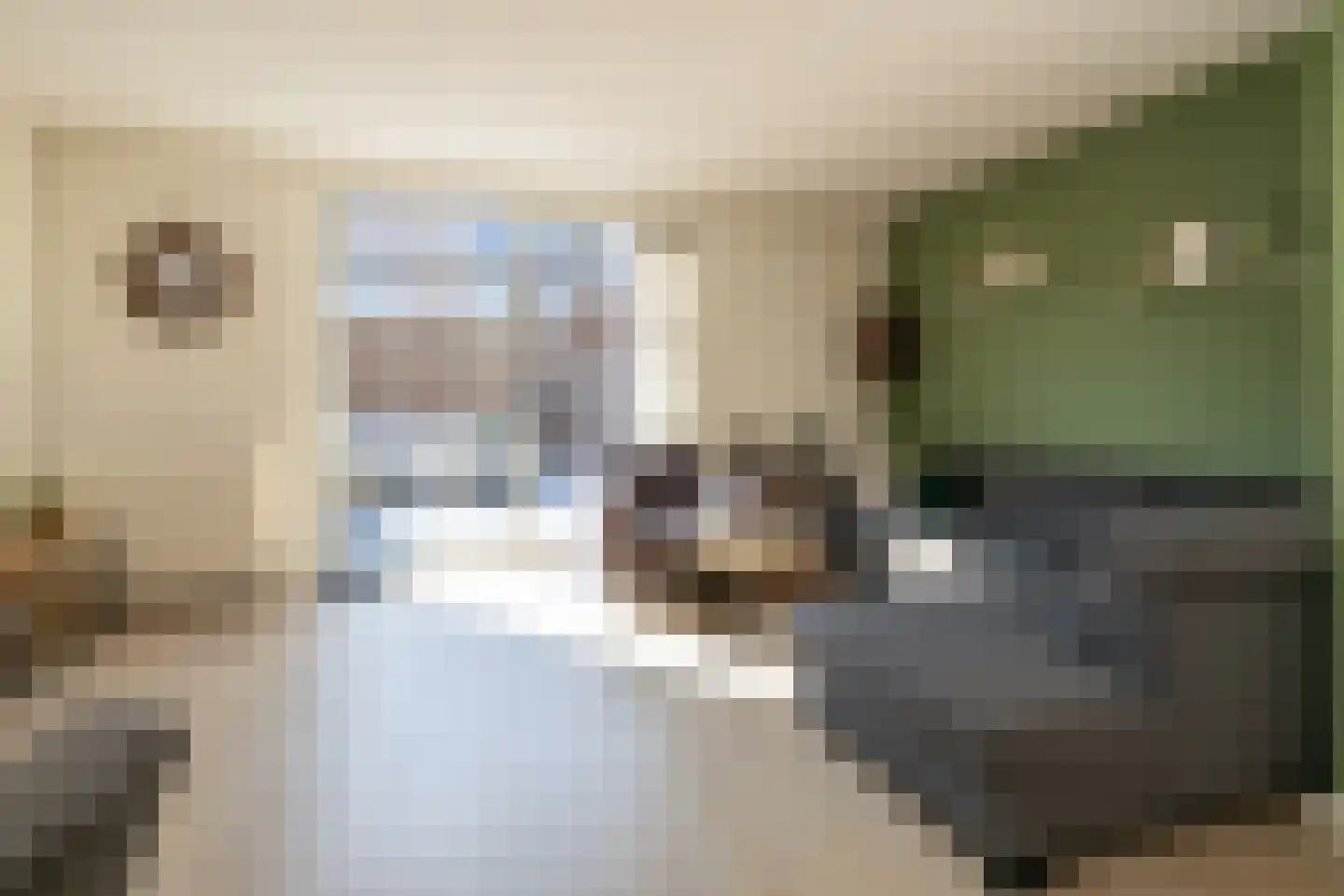 Professor Holwerdalaan 77 Naaldwijk thumbnail 8